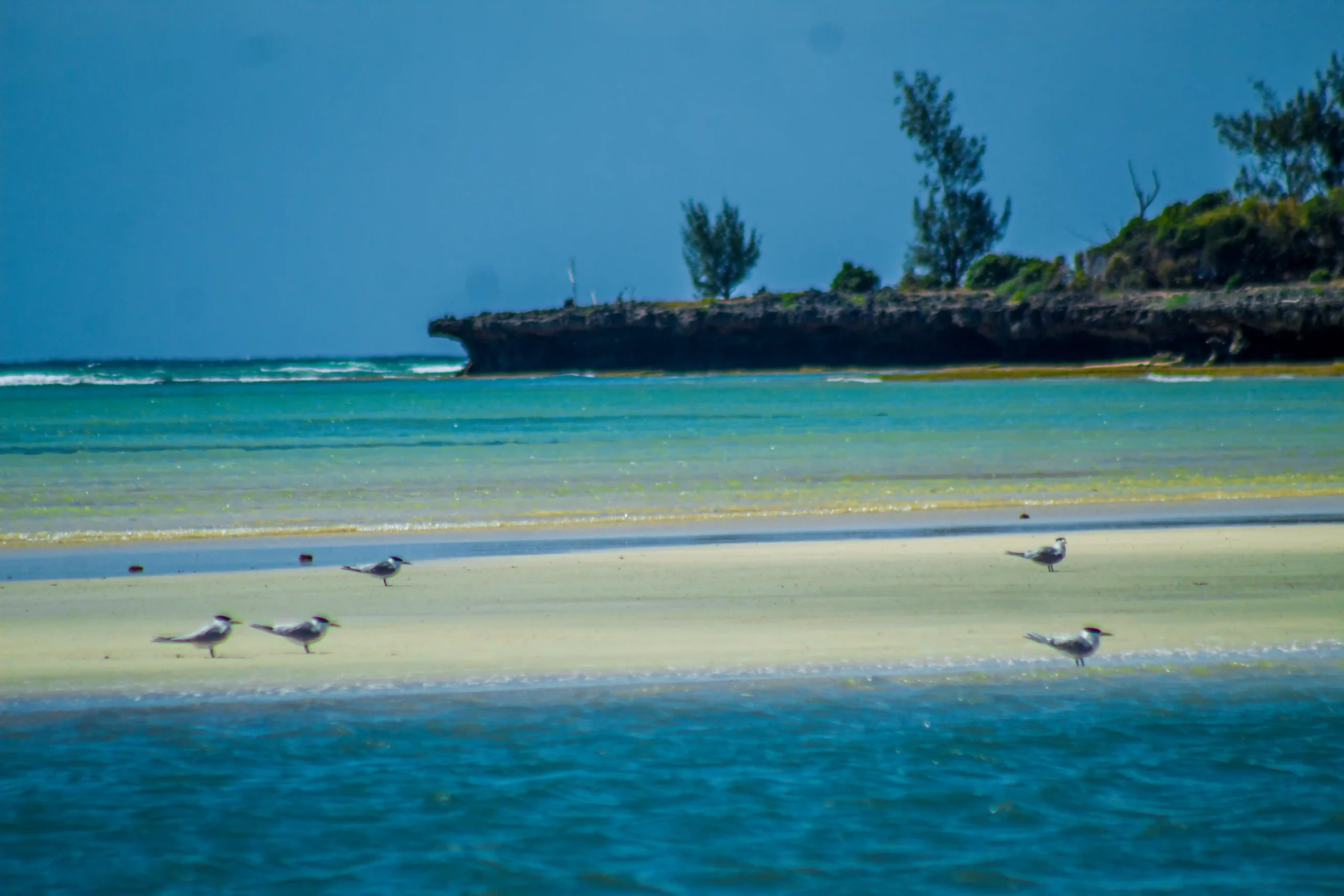 Baie-dAntalaha-7_office-regional-du-tourisme-diego-suarez-scaled