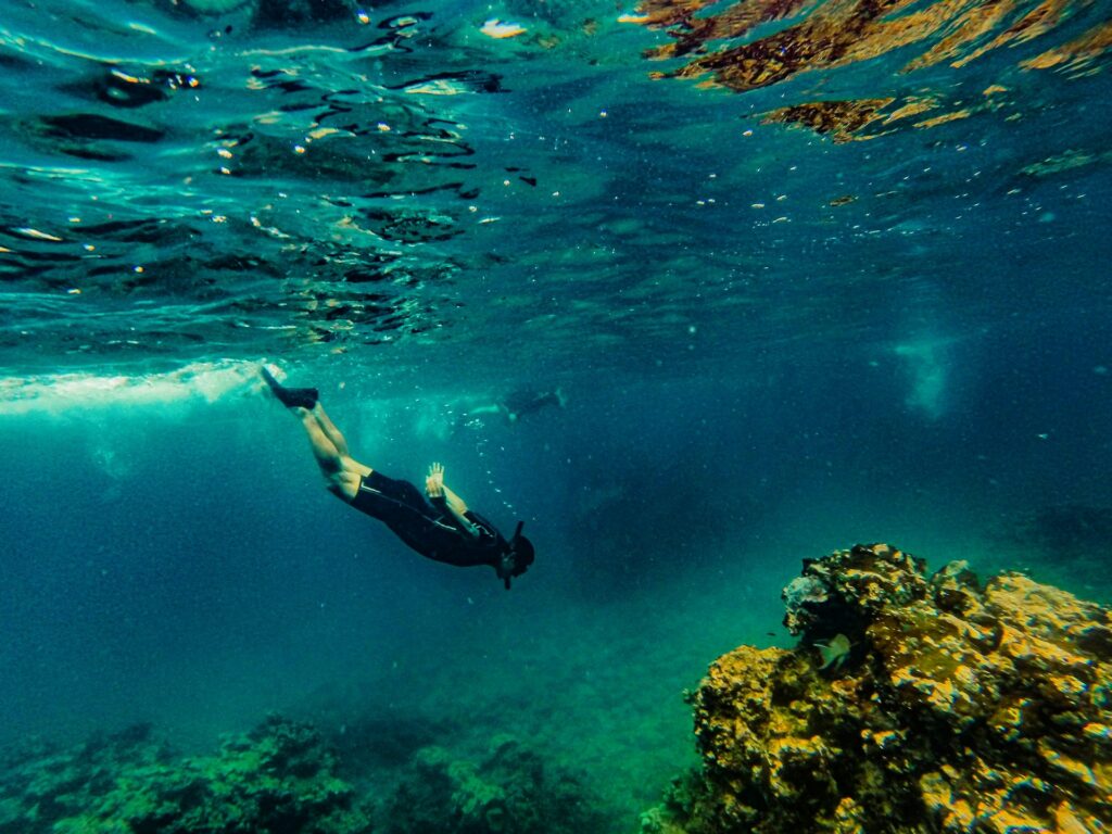 Snorkeling JMNGA SERVICES snorkeling madagascar