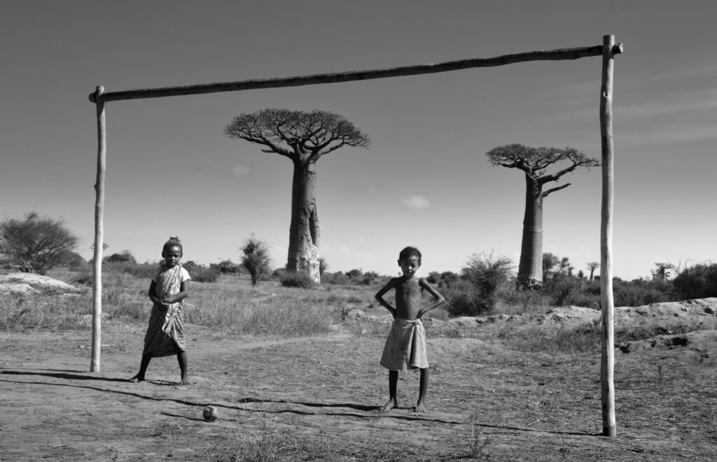 Ampasindava JMNGA SERVICES baobab madagascar jmga services