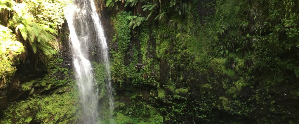 Parc de Joffre Ville JMNGA SERVICES cascata